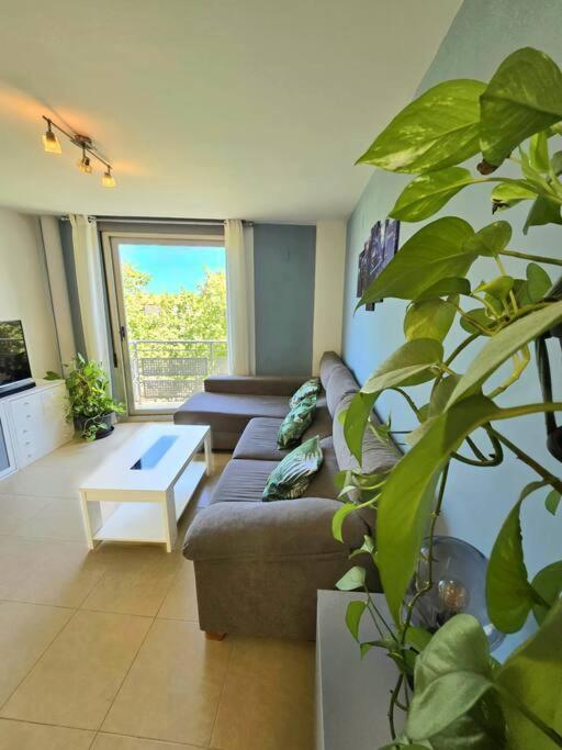 Apartament Pont De Ferro Sun Flat Benicàssim Zewnętrze zdjęcie
